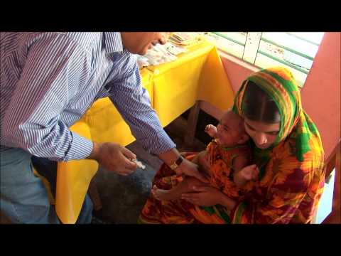 Dzień szczepienia Shumi