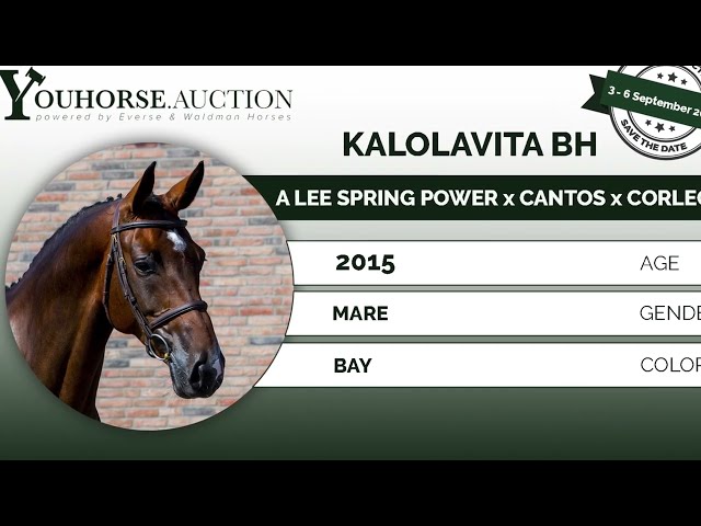 Kalolavita BH