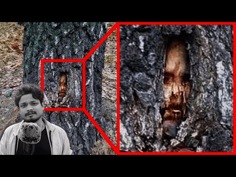 Top 5 Cursed Objects That Scientists FEAR To EXPLAIN