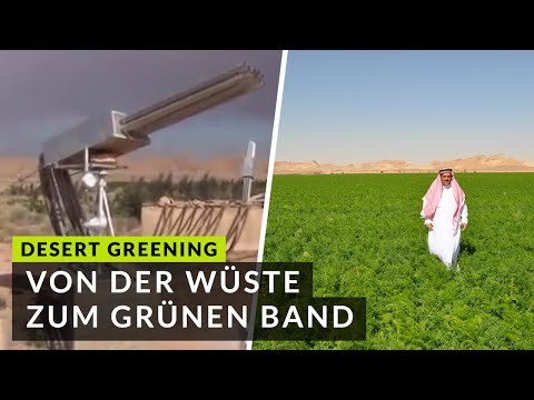Das ist Desert Greening! Das ist unsere Vision - Von der Wüste zum grünen Band 🌍 (Umweltheilung!)