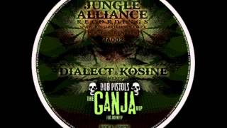 Ganja - Dubpistols Meets Dialect & Kosine (The Ganja VIP Jungle Remix)