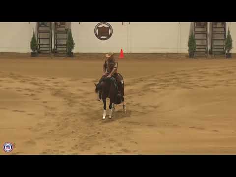 2025 Quarter Horse Congress Open Futurity Finals Sean Johnson on Culture Shockn