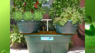 Aquaponics Florida