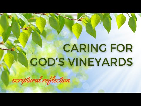 Reflection on the Parable of the Wicked Tenants