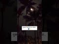 Vatevari Mogara Moon Fevsong Moonlight Trendingsong Nature Viral Trendingshorts Viralshorts