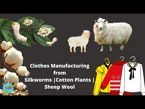 What are Clothes  |  How Clothes are made | Cotton |  Silk | Wool | Complete process