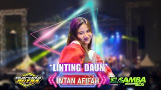 Download lagu INTAN AFIFAH - LINTING DAUN | ELSAMBA LIVE WRINGINANOM GRESIK mp3 Download lagu INTAN AFIFAH - LINTING DAUN | ELSAMBA LIVE WRINGINANOM GRESIK mp3