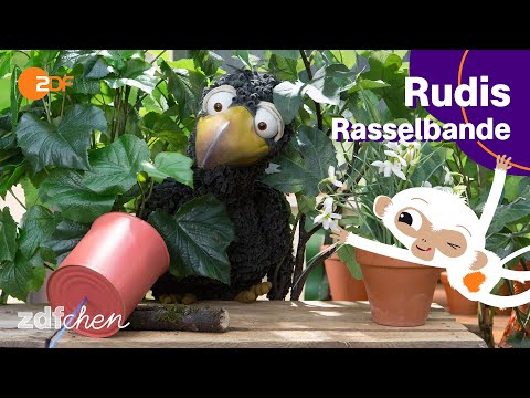 Wo ist der Ringelfitz? - Rudis Rasselbande | ZDFchen
