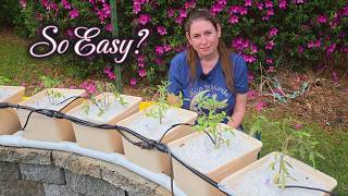 Planting My Hydroponic Garden (Tomatoes & Peppers)