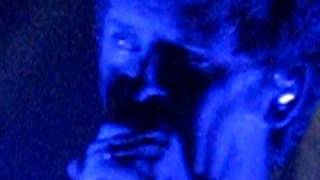 Racoon Clean Again live