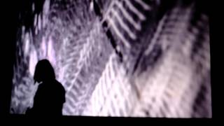 Modular Wild Vists New Media and Art Sound Summit 2015- Alessandro Cortini