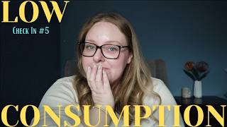 I Broke My Rules | Low Consumption Challenge Check In