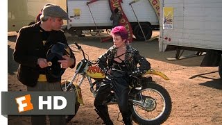 The Jerk (8/10) Movie CLIP - Navins Special Purpos