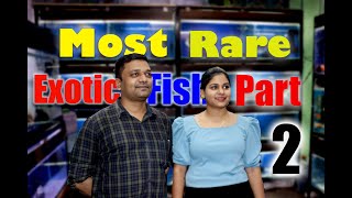 🔶Exotic FishStock at Sudhir Fish Aquarium Shop Vikas Nagar Uttam Nagar New Delhi||Best aquariumshop