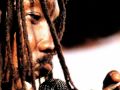 Peter Tosh pick myself up acoustic version 