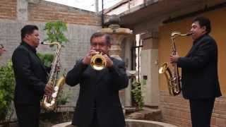 VIDEO &quot;HUBIERA QUERIDO&quot;.