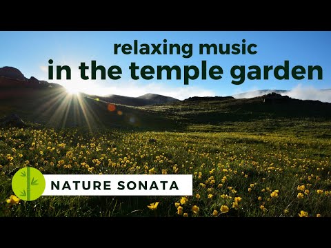 In The Temple Garden | Relaxing Music & Sounds of Nature | Nature Sonata 🍃