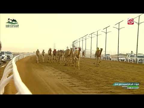  ش 6 حاضر لـ بدر محمد الغباشين الدوسري 4:59:42 ، كأس الاتحاد السعودي 2026/10/01  الطايف حقايق 