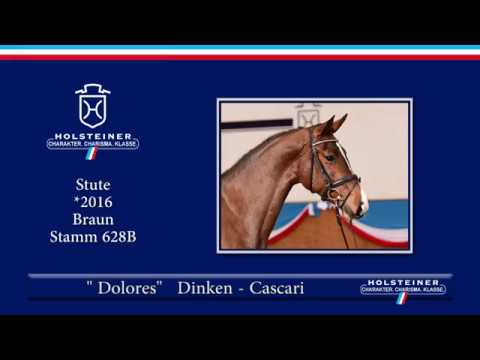 Holsteiner Frühjahrsauktion 2019 | Nr. 05 - Dolores v. Dinken - Cascari