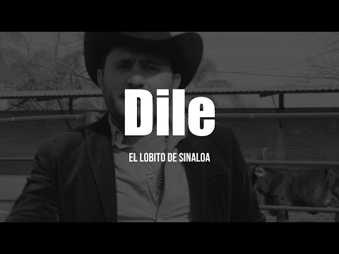 El Lobito de Sinaloa - Dile (LETRA)