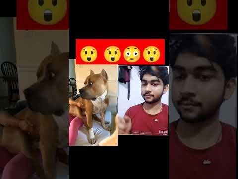 😲😲😲😲#shorts