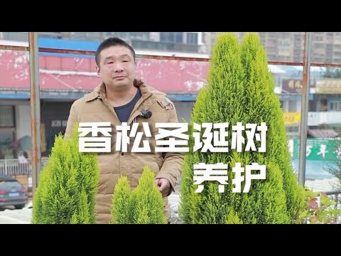 香松種植
