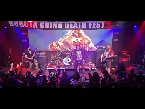 PIGGY - BOGOTA GRIND DEATH FEST XXIII - 3 MAYO 2025