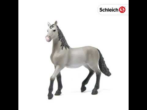 Schleich figūrėlė „Pura Raza Española“ jaunas žirgas video