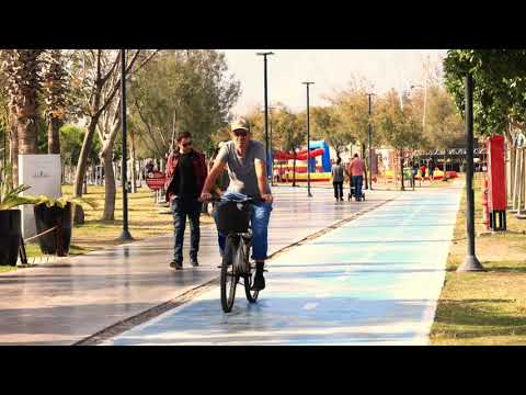 People in the park - 4K Slow motion stock video