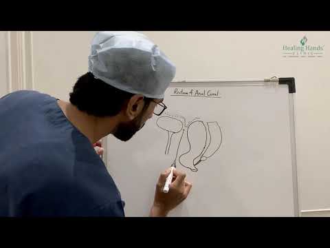 Anatomy of Rectum & Anal Canal - Part 1| Curvatures, Peritoneal folds, Fascia & Relations of Rectum