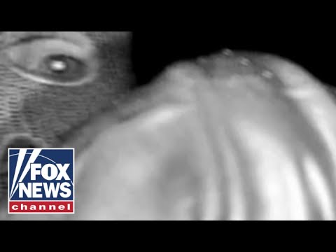 Potential Nancy Guthrie kidnapping suspect's outfit looks like it was 'cobbled together': expert