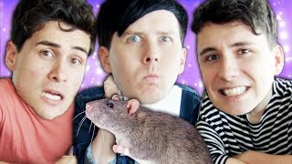 Anthony, Dan or a RAT?