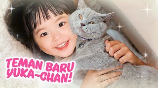 Download lagu YUKA-CHAN ADOPSI BANYAK KUCING! | a day in our life mp3 Download lagu YUKA-CHAN ADOPSI BANYAK KUCING! | a day in our life mp3
