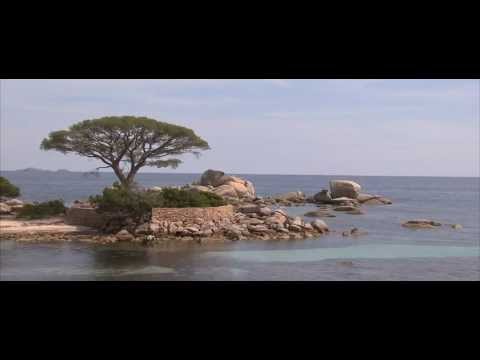 Reportage TF1 sur la plage de Santa-Giulia - Mai 2011