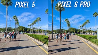 Google Pixel 6 Pro vs Google Pixel 5 Camera Test: Better or Worse?