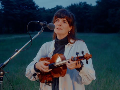 Roosmarijn - Dear Deer (live video)