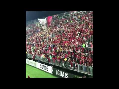 TORCIDA DO FLAMENGO CONTRA O CRUZEIRO 08/11