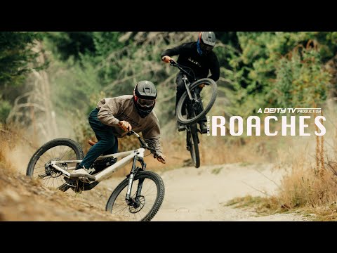 DEITY: Queenstown Roaches