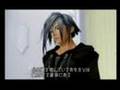 Kingdom Hearts 300 Organizzazione XIII