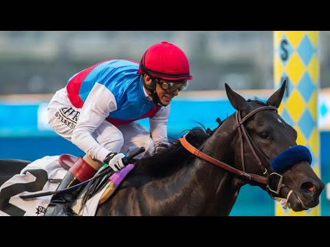 2021 Shared Belief Stakes (Listed) | MEDINA SPRIT | Kentucky Derby Doper wins again |
