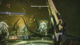 【下手くそプレイヤー】Destiny 2 #30【涙目実況】ラスワ獲ったどーーー！
