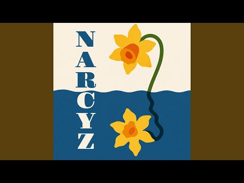 Narcyz