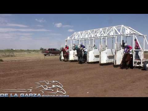 LA VIUDA NEGRA VS CUADRA LOS ALAZANES VS CUADRA ESTRELLA 200 YDS EL SAMURAI TRAINING CENTER HOBBS NU