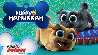 Puppy for Hanukkah with Bingo and Rolly! | Puppy Dog Pals | @disneyjr