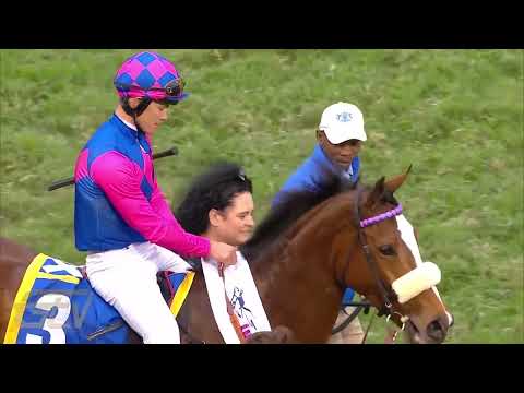 CAPTAIN'S RANSOM IS THE 2022 HORSE OF THE YEAR