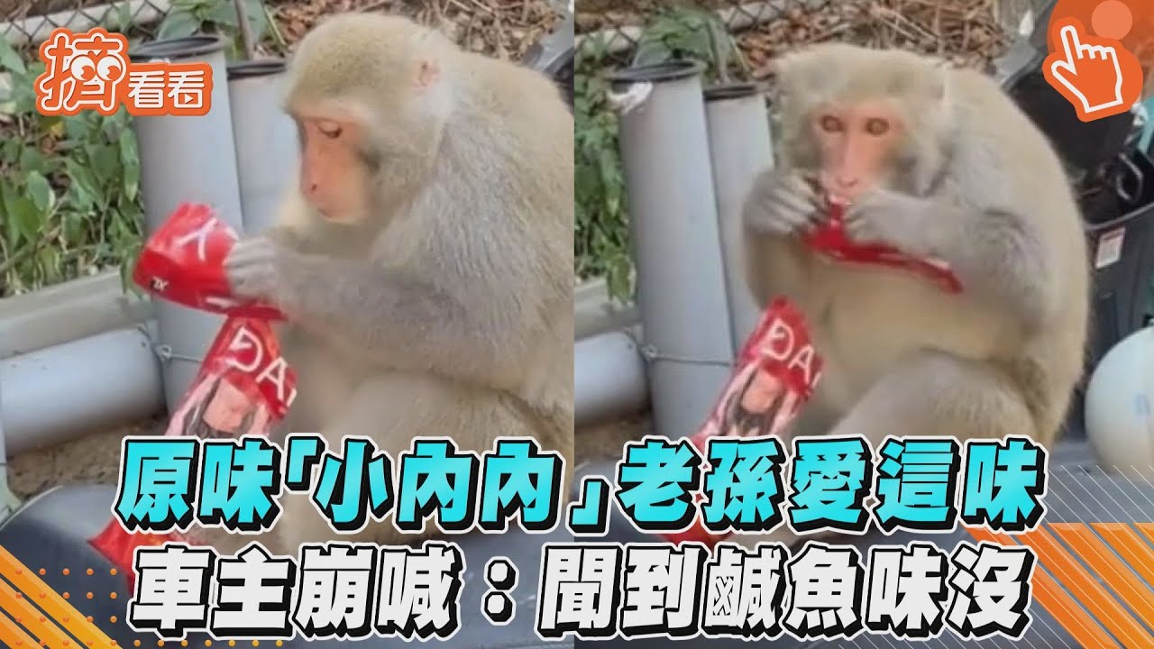 影音／原味「小內內」老孫愛這味　車主崩喊：聞到鹹魚味沒
