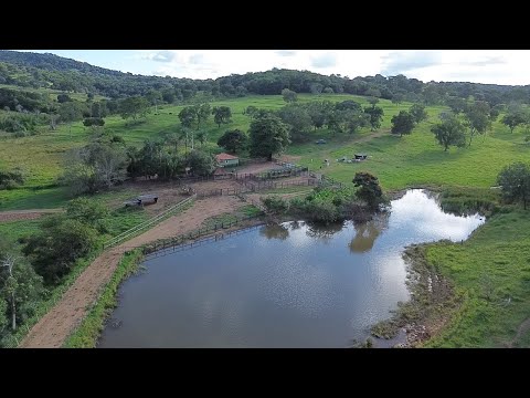 Fazenda de 54 alqueires rica em água apenas 75 km de Goiânia R$ 250.000mil por alqueires 