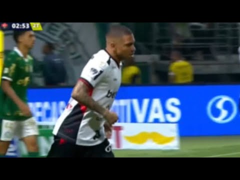 Lucas Esteves X Palmeiras | BRASILEIRÃO 2024