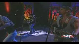 Trick Pony - Rhiannon