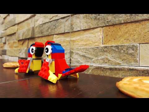 Paulis Erzfeind (Tierischer Animations-Wettbewerb)